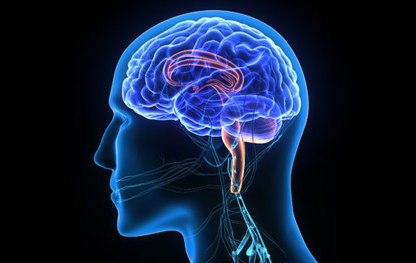 Neurology